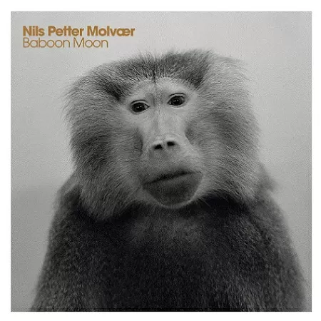 Nils Petter Molvaer - Baboon Moon