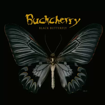 Buckcherry- “Black Butterfly”