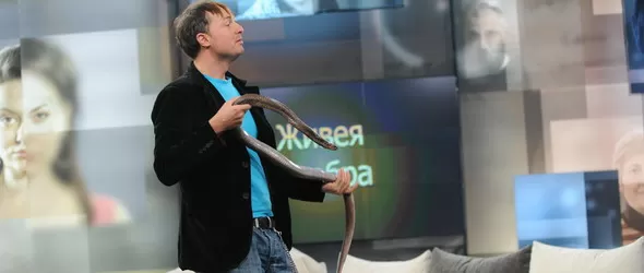 Отровна кобра плъзна в студиото на Камелия