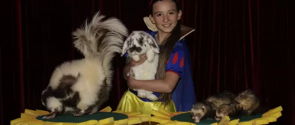 Цирк: Шeр и Тина Търнър дебютираха в София