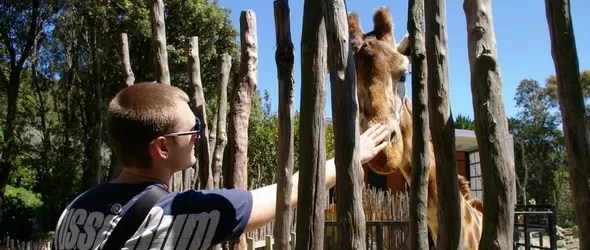 Карлос подари Единак на феновете си за Коледа