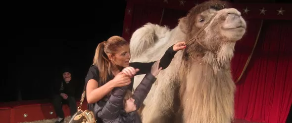 Камила целуна Анелия на циркова премиера