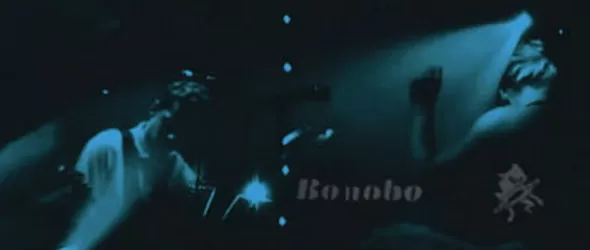 Екстазът Bonobo