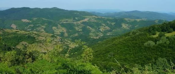 Траперите на Ржана