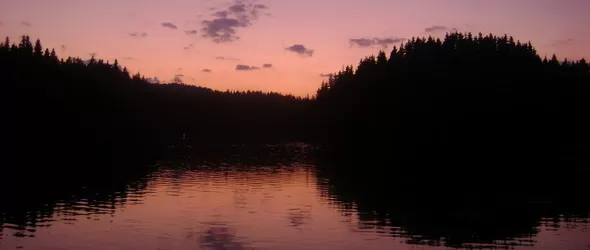 Райското медено поле на Беглика