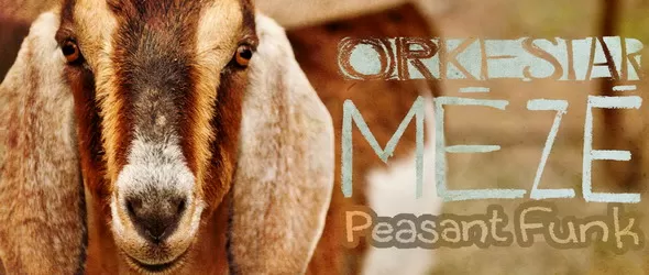 Българин дебютира с нов музикален стил