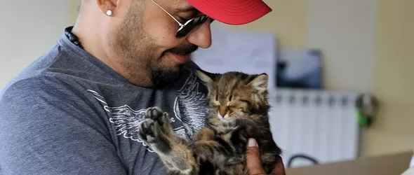 Крадат постоянно котката на Дичо