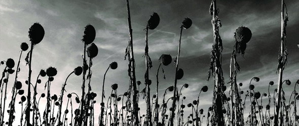 Dead Can Dance 16-години по-късно