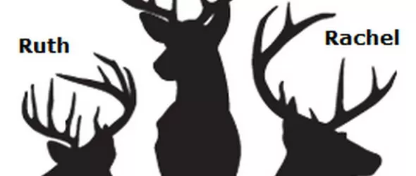 Коледен поздрав от Рут, Криста и Rachel Row