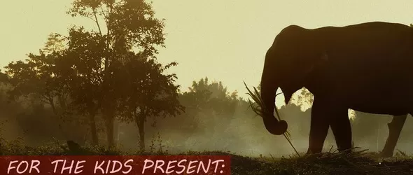 Wake The Dead в клуб Studio