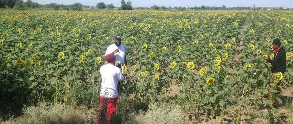 Rick Ross отказа изява с Lil Wayne, за да пее в Пловдив довечера