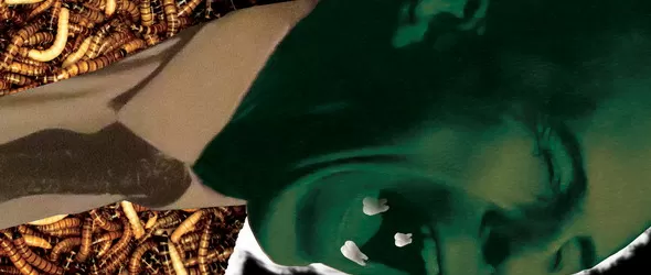 Шведите No Omega с втори концерт в София