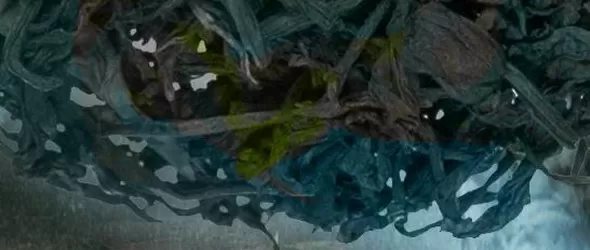 Euglena (Русия) в София заедно с Trysth и Sisters Оf Radomir