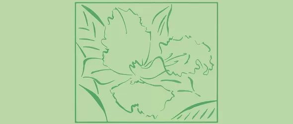 Пътешествие през тайния живот на растенията със Стиви Уондър