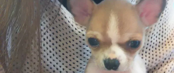 Ашли показа мъжа на своето сърце