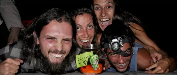 Защо пропадна Айляк фест 2015