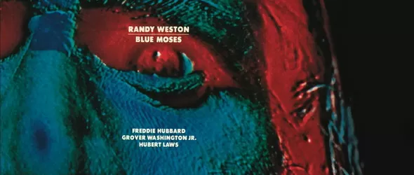 В търсене на Африка