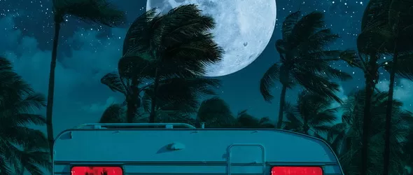 Keep Me Calm на Saint Electrics в Картини от една изложба