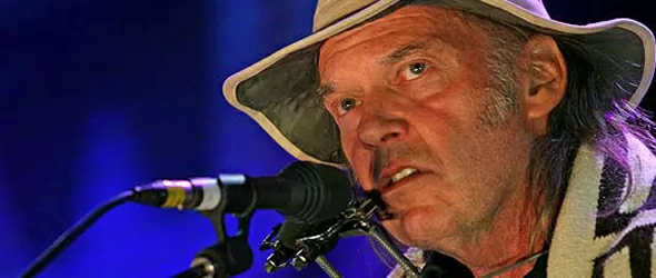 Нийл Йънг даде име на паяк