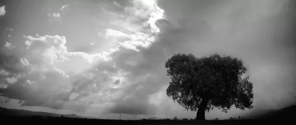 От душа към душа