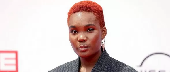 Отличие Мъркюри за Арло Паркс