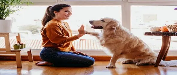 Честит рожден ден на "Плешивото куче". Ивайло Кицов, водещият на популярното предаване по БНР, черпи в ефир