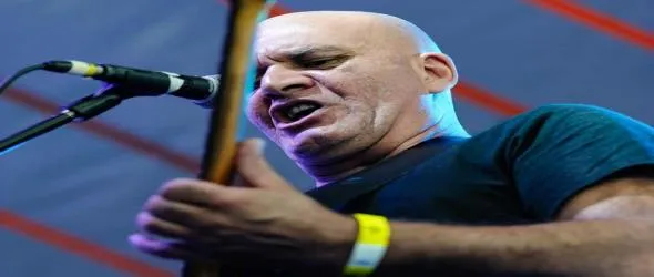 Да бягаме от софийските жеги: фестивални и концертни дестинации с Плешивото куче. И ЧРД на Росен Григоров (Уикеда)