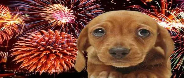 Предновогодишно с Плешивото куче. Специален празничен епизод и меломанска плейлиста