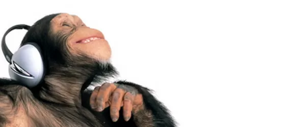 Виждаме музиката