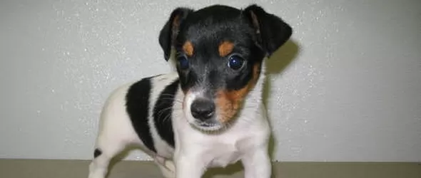 Марая Кери получи куче за годишнината си с Ник Кенън