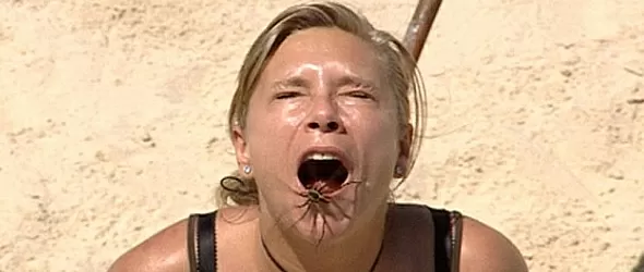 Саманта Фокс лапа паяци в австралийската пустиня