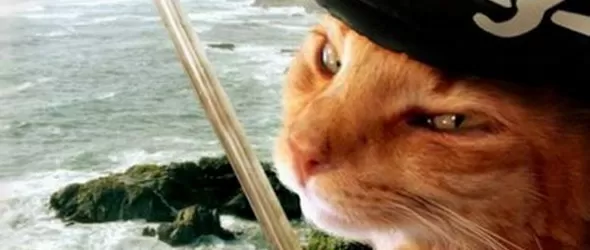 Удариха музикалните пирати в САЩ